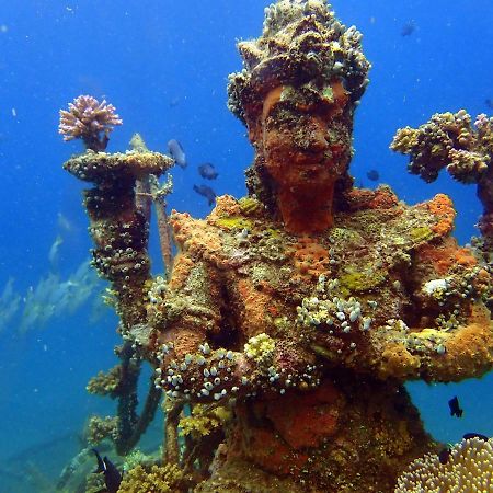 Biorock Homestay & Dive Center Pemuteran Ngoại thất bức ảnh