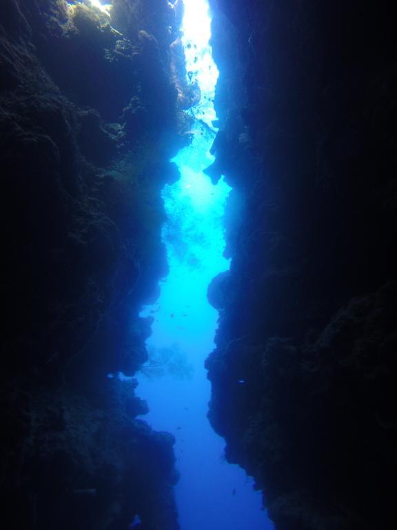 Biorock Homestay & Dive Center Pemuteran Ngoại thất bức ảnh