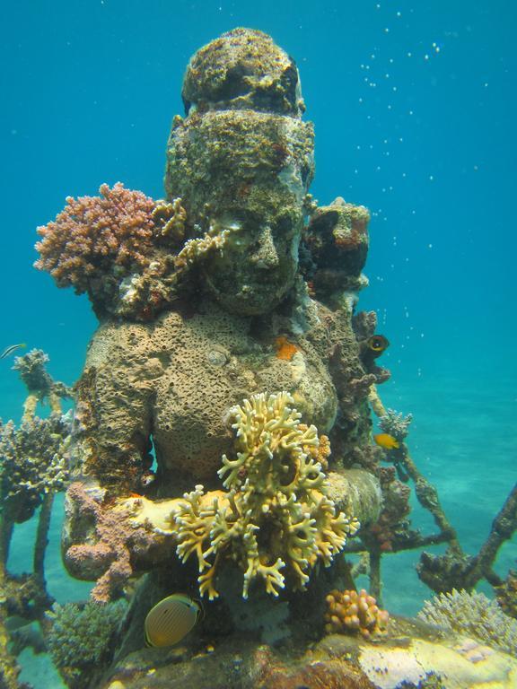 Biorock Homestay & Dive Center Pemuteran Ngoại thất bức ảnh