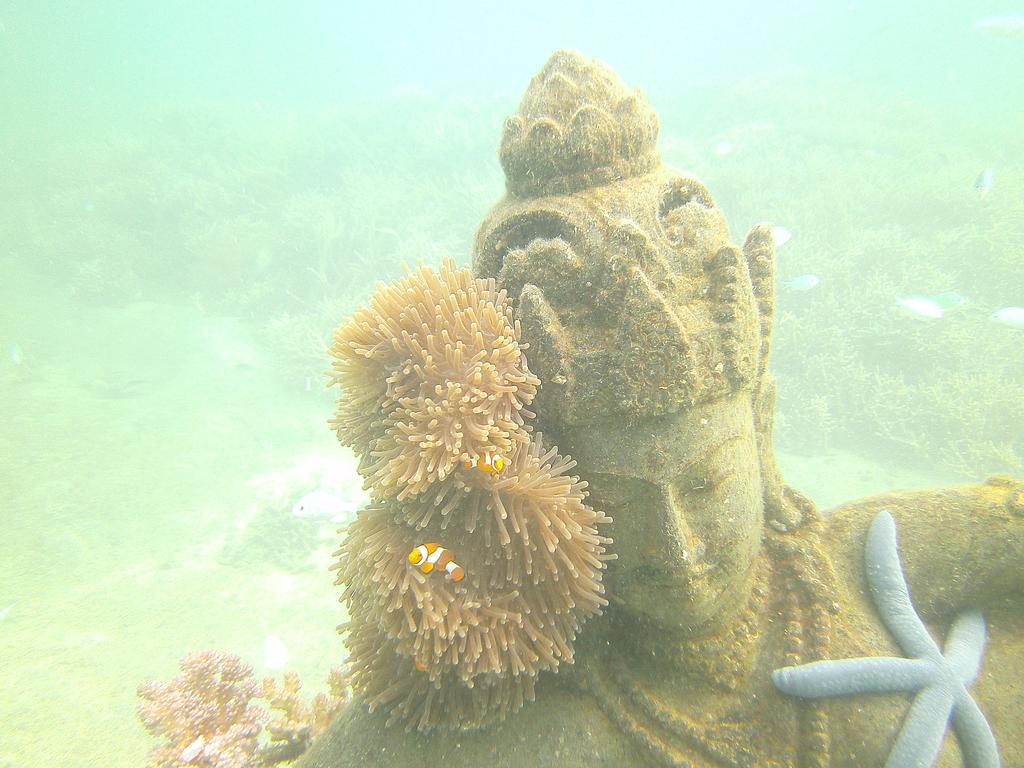 Biorock Homestay & Dive Center Pemuteran Ngoại thất bức ảnh