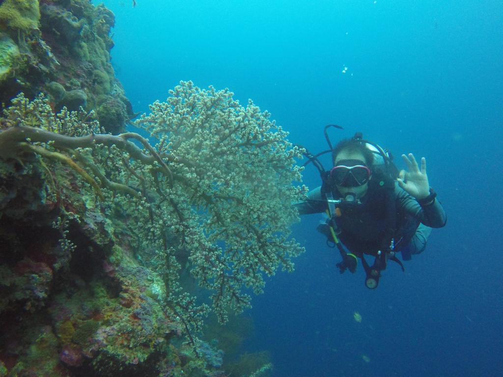 Biorock Homestay & Dive Center Pemuteran Ngoại thất bức ảnh