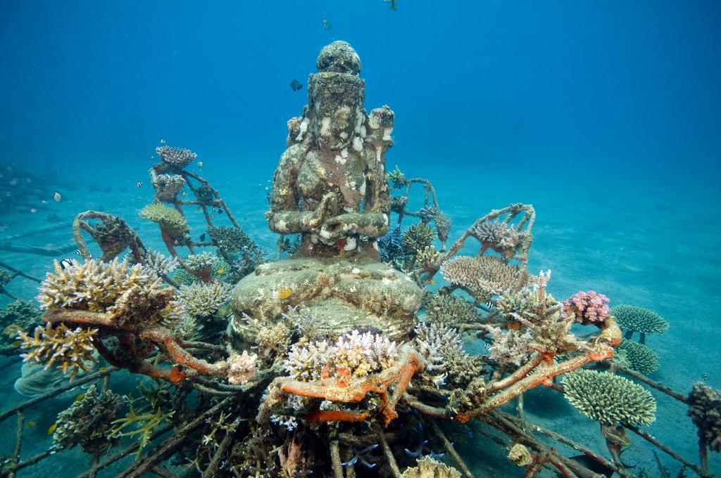 Biorock Homestay & Dive Center Pemuteran Ngoại thất bức ảnh