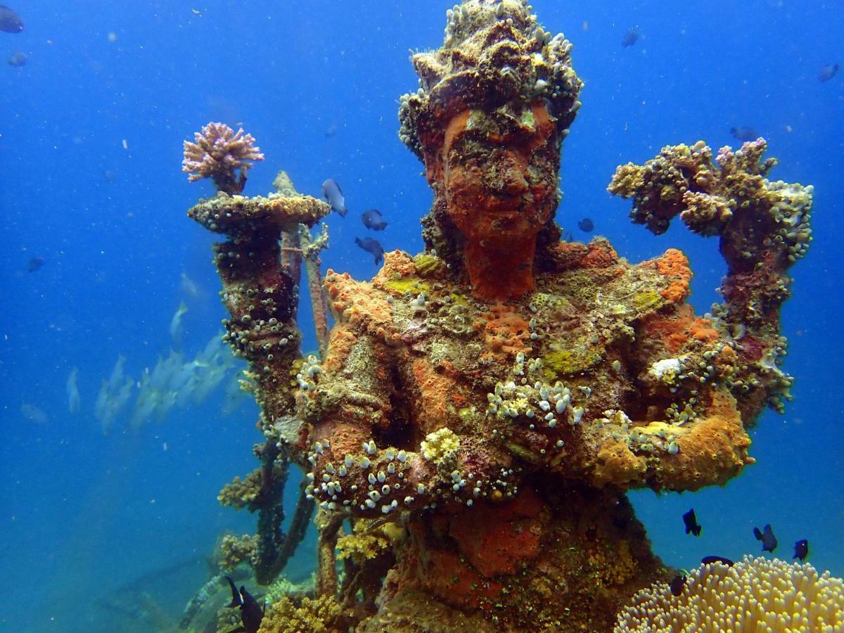 Biorock Homestay & Dive Center Pemuteran Ngoại thất bức ảnh